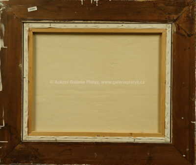  / Odraz v Bodensee / Boris Jirků