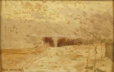  / Zima / Roman Havelka