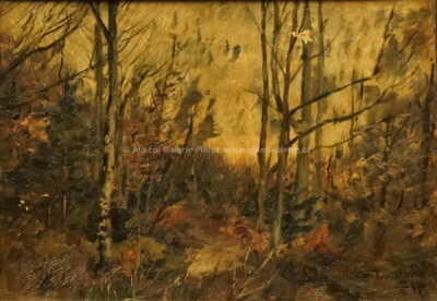  / V lese / František Kaván