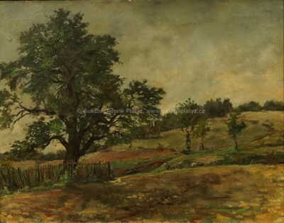  / Velký strom / Antonín Slavíček