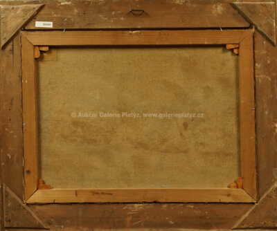  / Velký strom / Antonín Slavíček