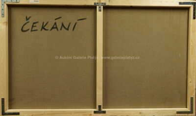  / Čekání / Radek Baláž