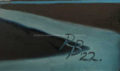  / Čekání / Radek Baláž