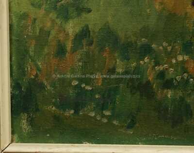  / Krajina / Gustav Macoun