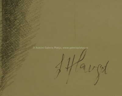  / Akt / Lutobor Hlavsa