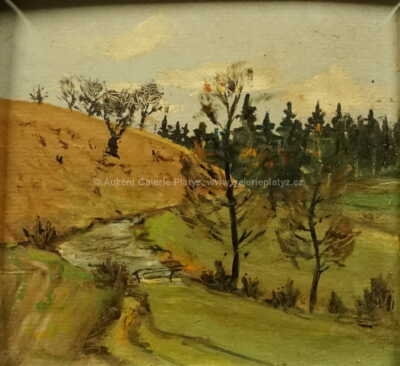  / Potok v Ronově /   Neznačeno