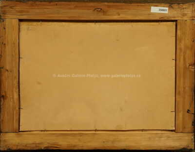  / Říčka v krajině / Josef Procházka