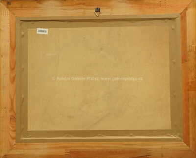  / Island / Jan  Zrzavý