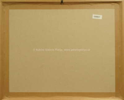  / Z cyklu Střelnice II / Marie Čermínová - Toyen