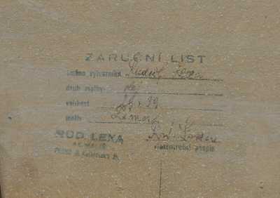  / Zasněžená krajina / Rudolf Lexa