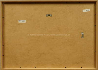  / Tell me all about habits / Pasta  Oner