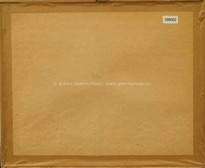  / Viry / Adolf Hoffmeister