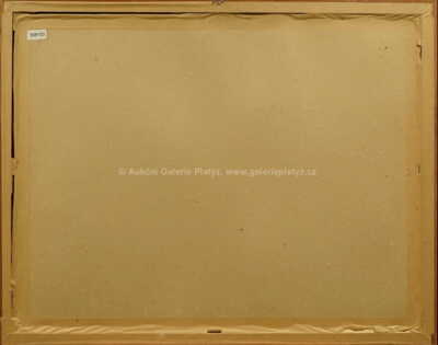  / Lev na lovu / Antonín Procházka