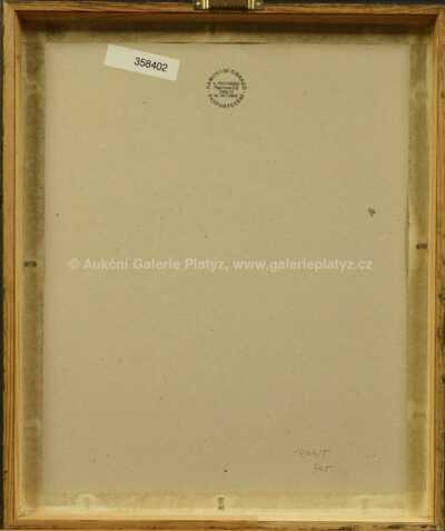  / Pohled do lesa / Julius Mařák