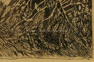  / Pohled do lesa / Julius Mařák