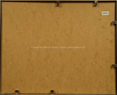  / Čaroděj / Josef Liesler