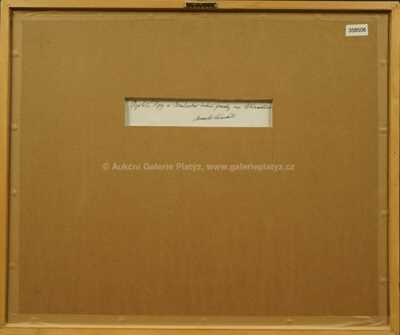  / Překvapení ve Stínadlech / Marko Čermák