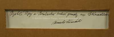  / Překvapení ve Stínadlech / Marko Čermák