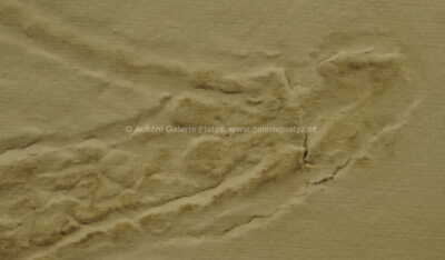  / Eva povstávající / Olbram Zoubek