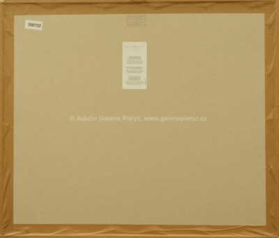  / Z LATINSKÉ ČTVRTI V PAŘÍŽI / František Tavík Šimon