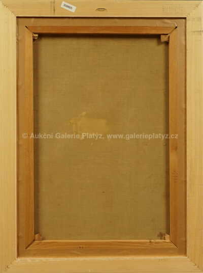  / Dívčí akt / Josef Loukota