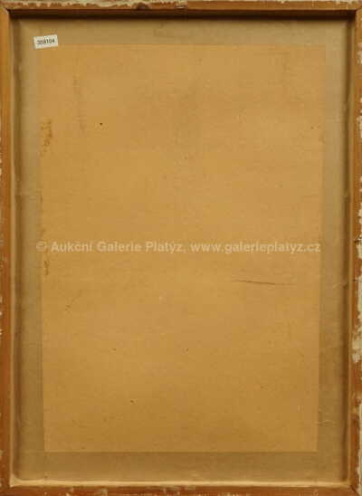  / Bez názvu / Jiří Anderle