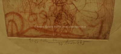  / Bez názvu / Jiří Anderle