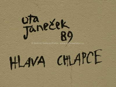  / Hlava chlapce / Ota Janeček
