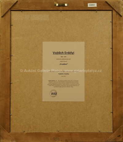  / Zrcadlení / Vojtěch Erdélyi