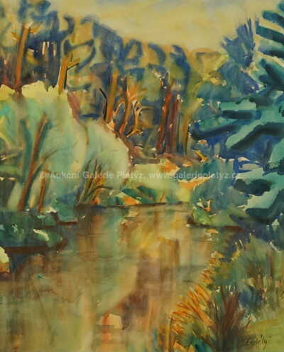  / Zrcadlení / Vojtěch Erdélyi