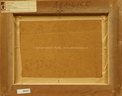  / Zrcadlo / Lutobor Hlavsa