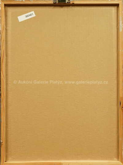  / Letecký den / Kája Saudek