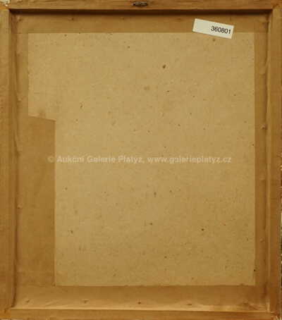  / Koupající se dívka / Václav Špála