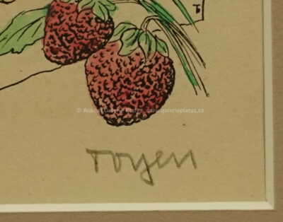  / Dívka s jahůdkami / Marie Čermínová - Toyen