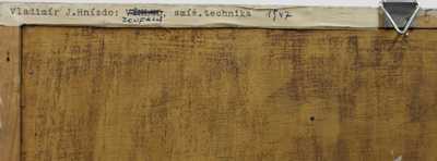  / Zoufalí / Vladimír Jan Hnízdo