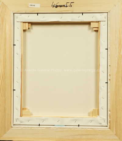  / Šubyduby Amerika / František Ringo Čech