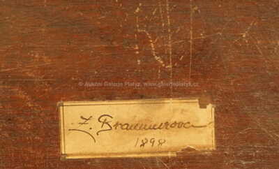  / Krajina / Zdena Braunerová