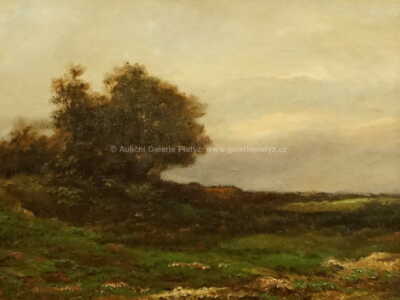  / Krajina / Zdena Braunerová