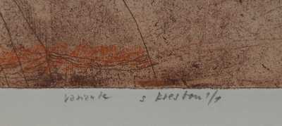  / Dívka a růže / Jiří Anderle