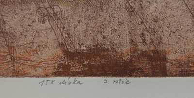  / Dívka a růže / Jiří Anderle