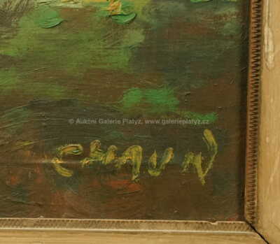  / Strom / František Chaun