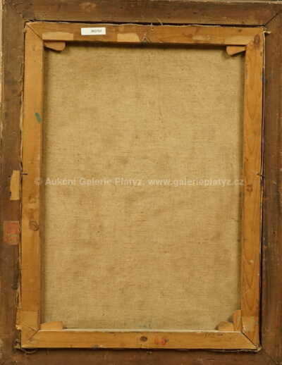  / Strom / František Chaun