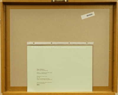  / Hra se švihadlem / Marie Čermínová - Toyen