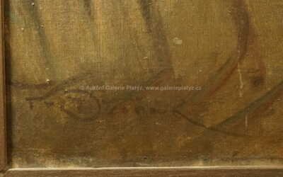  / Šeříky / František Dvořák Brunner