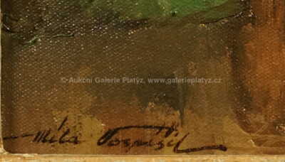  / Dalmácie / Jan Bohumil Pospíšil