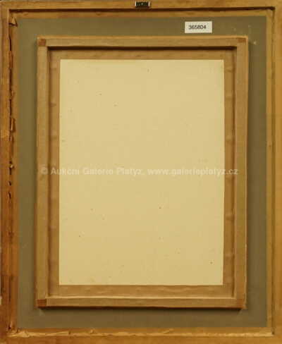  / Veronique / Jan Saudek