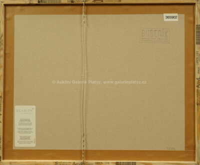  / David, lonely / Jan Saudek