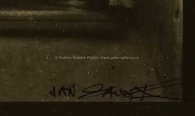  / David, lonely / Jan Saudek