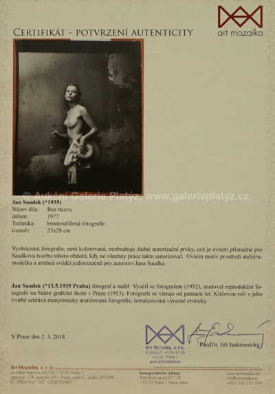  / Bez názvu / Jan Saudek