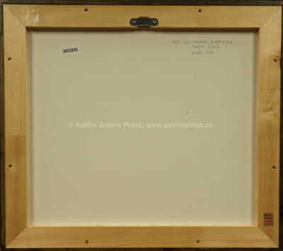  / Quai des Grands - Augustins / František Tavík Šimon